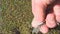 Are pros cheating over spike marks?