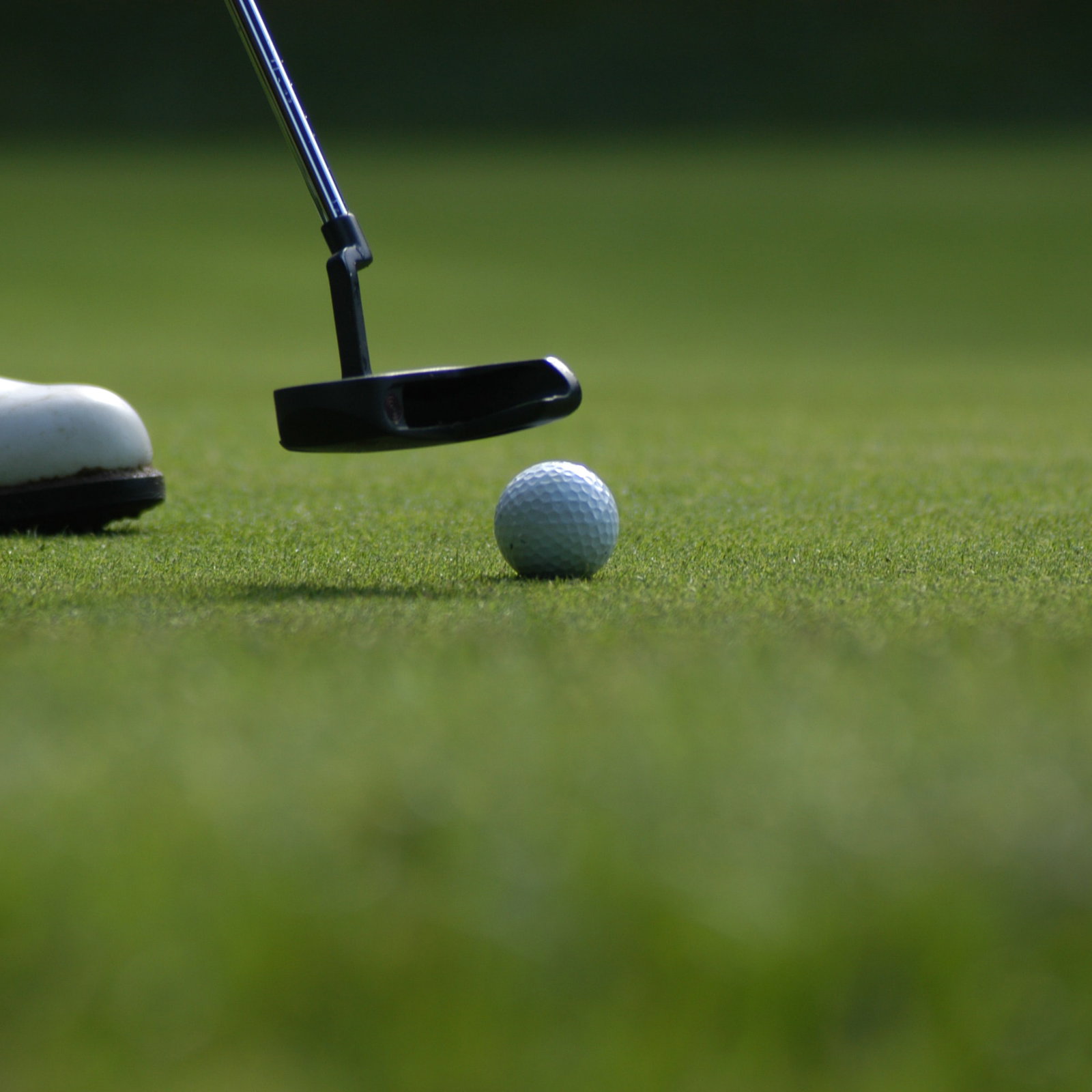 Bay Hill by Arnold Palmer GTD irons and metalwoods