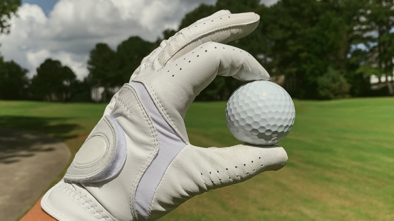 Tour pro DQs himself after taking incorrect drop when going OB