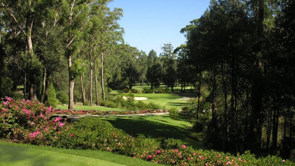 Tributes paid to man killed by a falling tree branch on a golf course