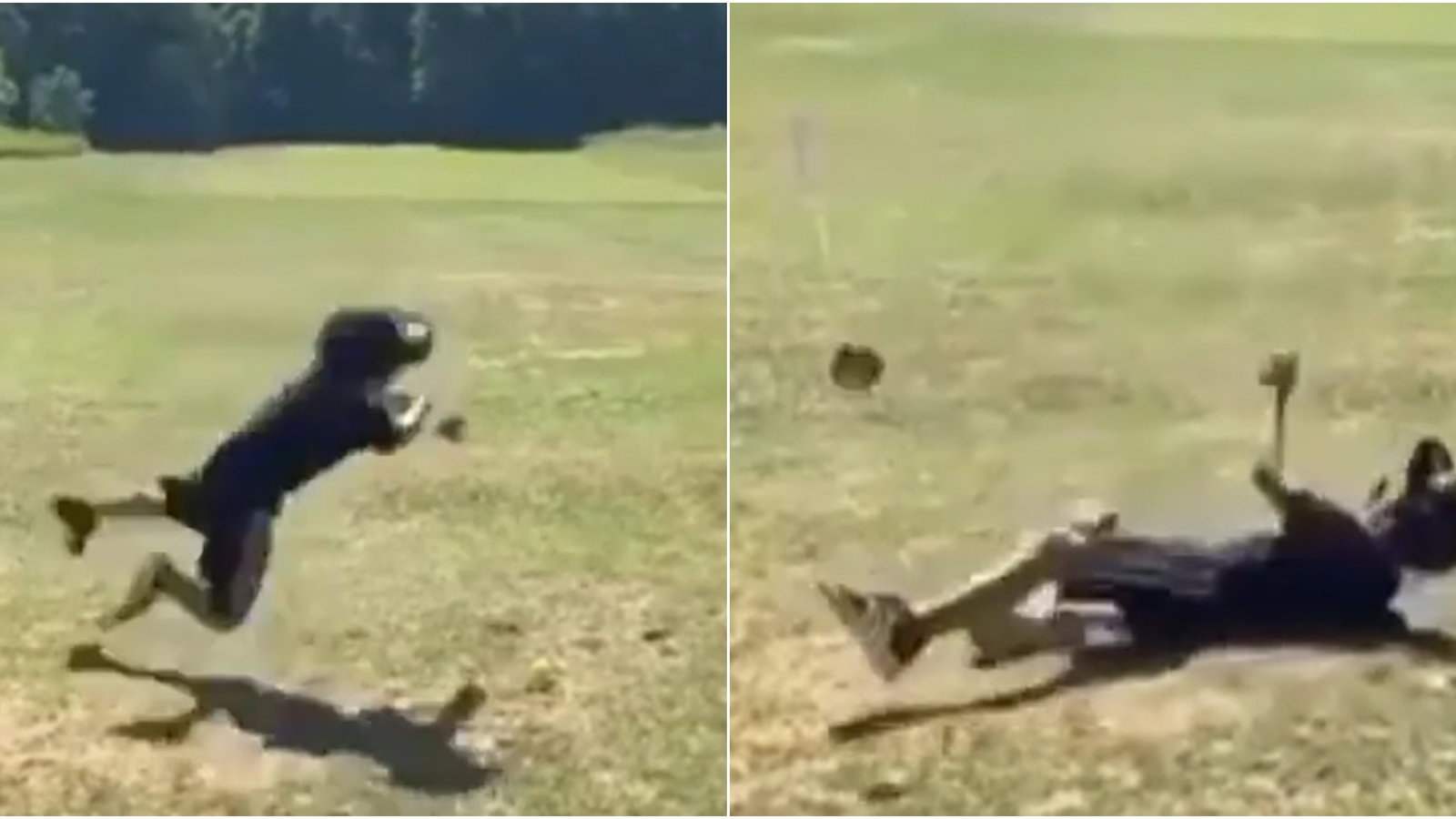 Golf rules: Young player does FULL 360 and smashes head, but what happens next?