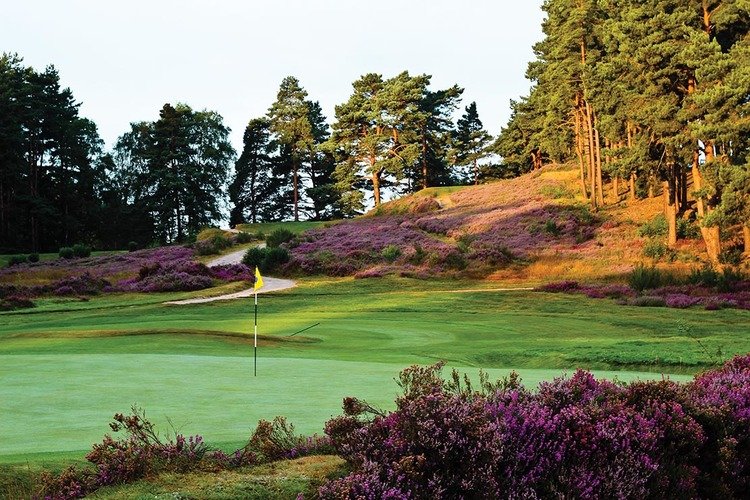 Sir Nick Faldo celebrates decade of knighthood with new logo