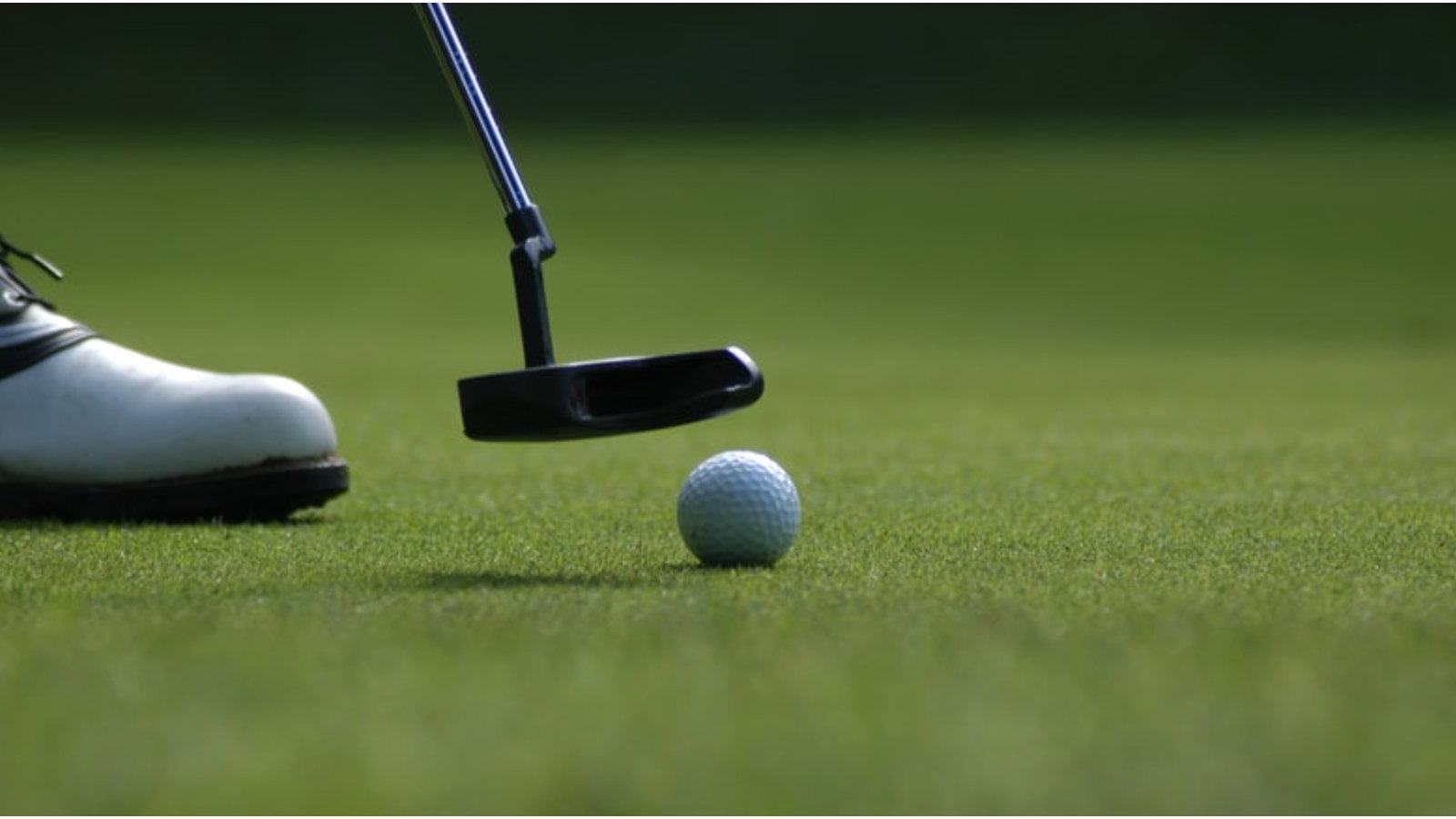 PGA Tour pro resurfaces with old Titleist Scotty Cameron Bullseye!