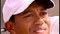 Tiger's equipment secrets