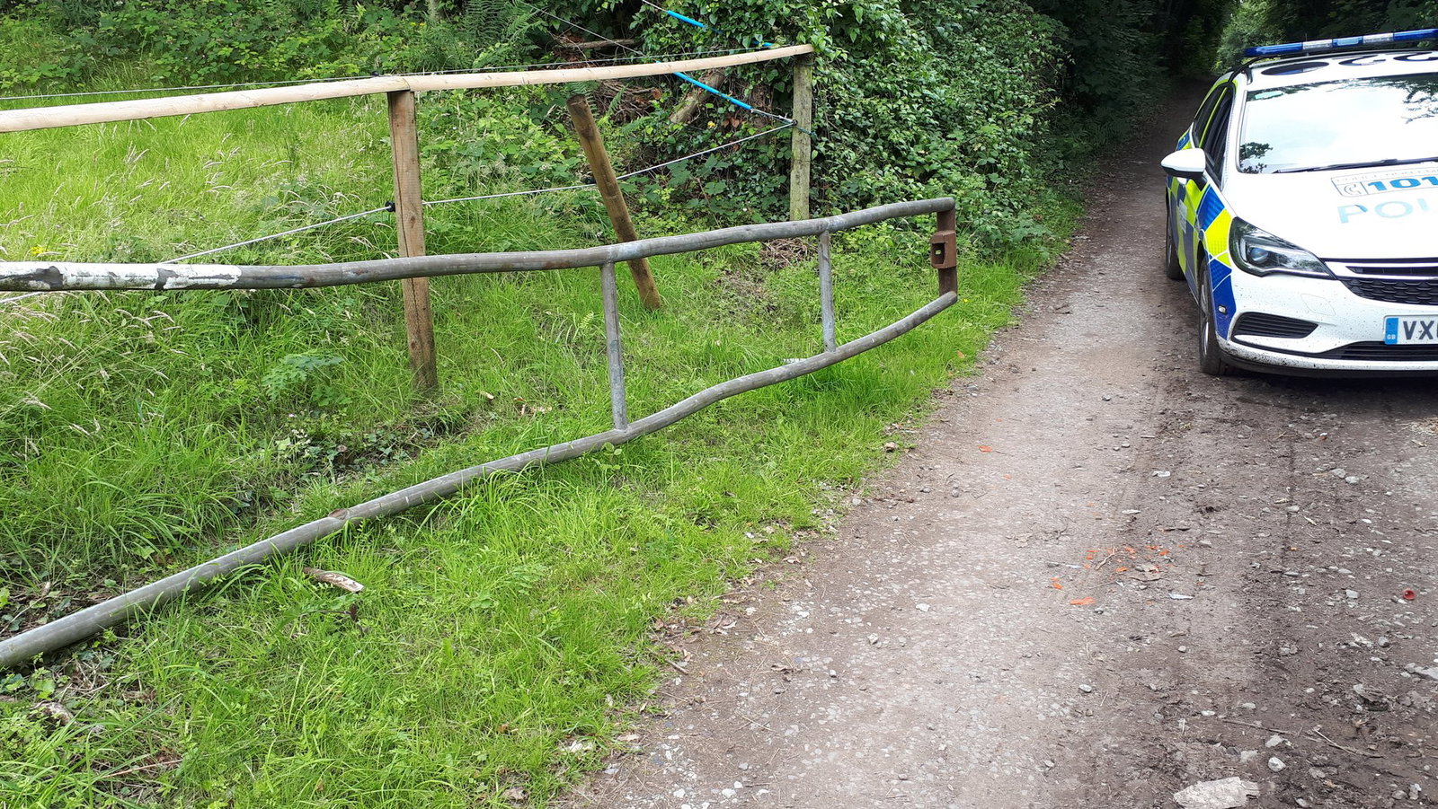 Police hunt for car seen shredding up golf course