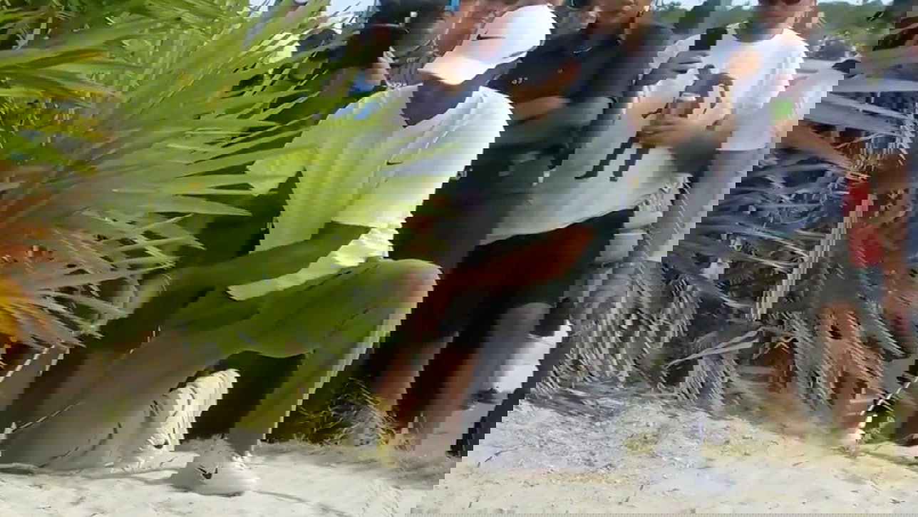 Tiger Woods says he double-hit golf shot but officials say no...