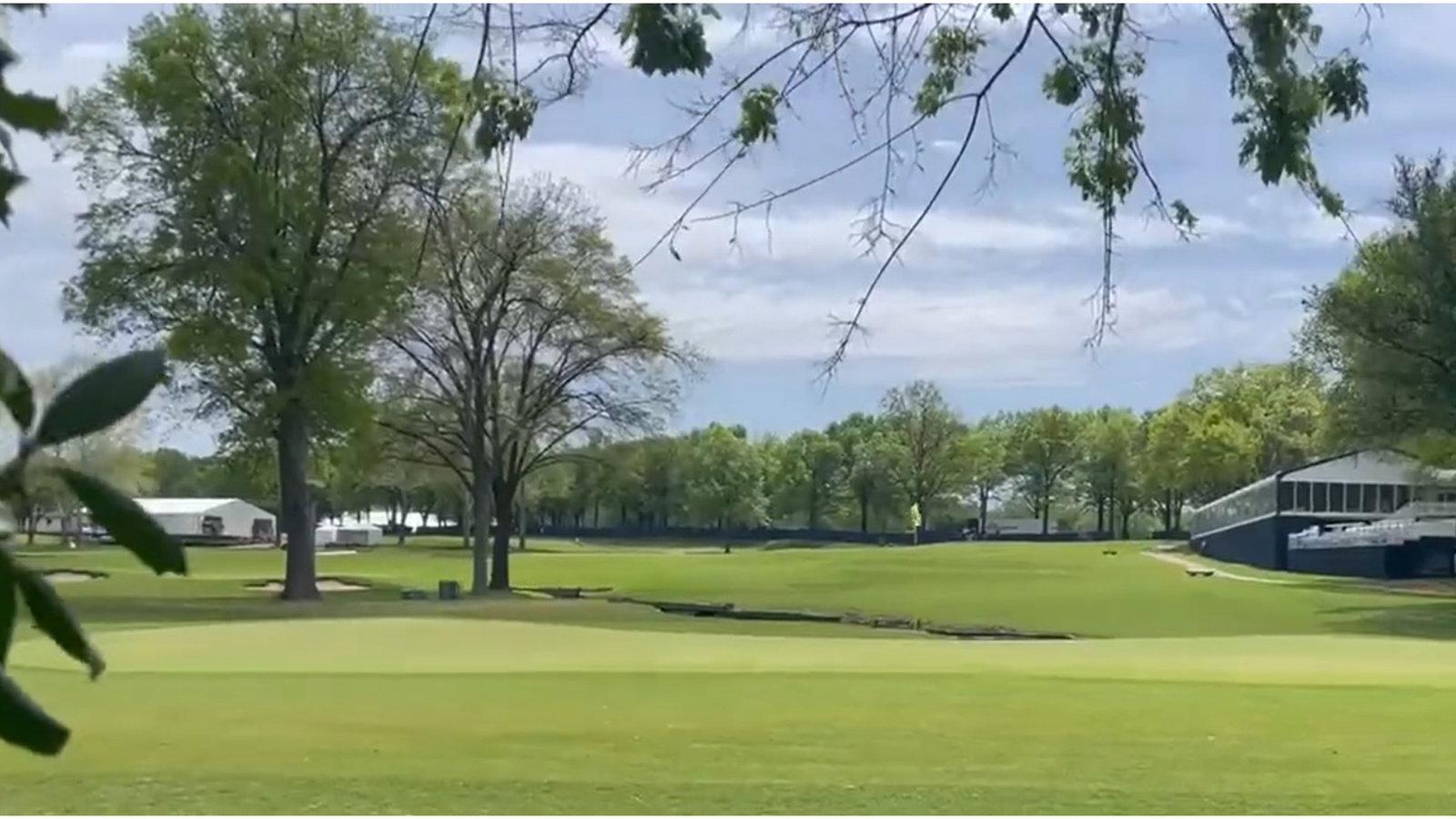 WATCH: Fan, in the bushes, captures absolute DART from Tiger Woods