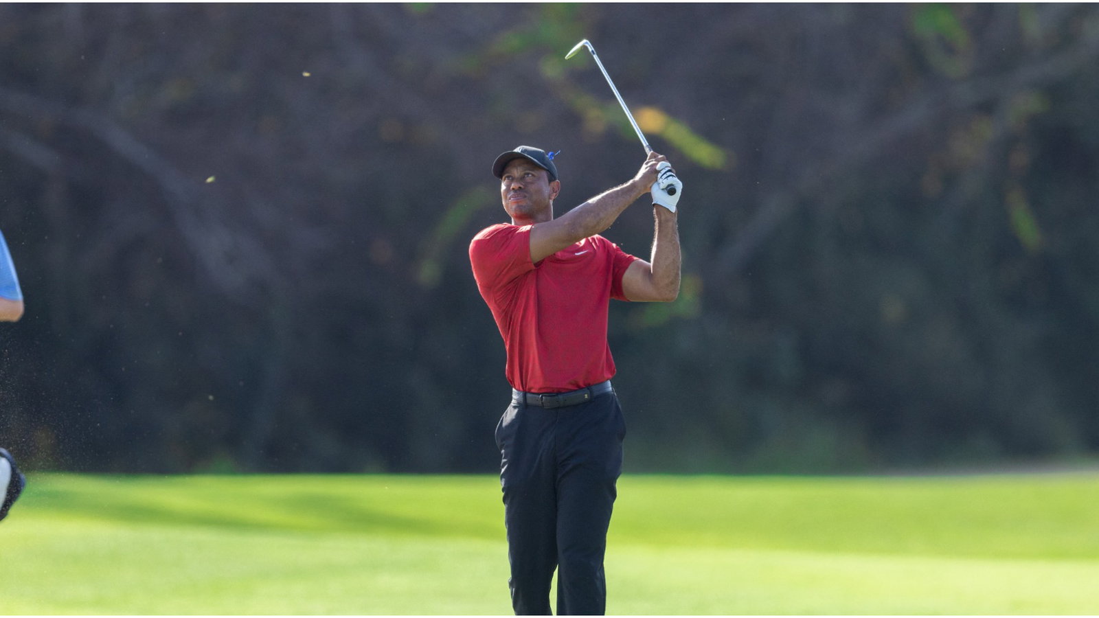 Tiger Woods' legendary "Tiger Slam" irons and Vokey wedges up for sale