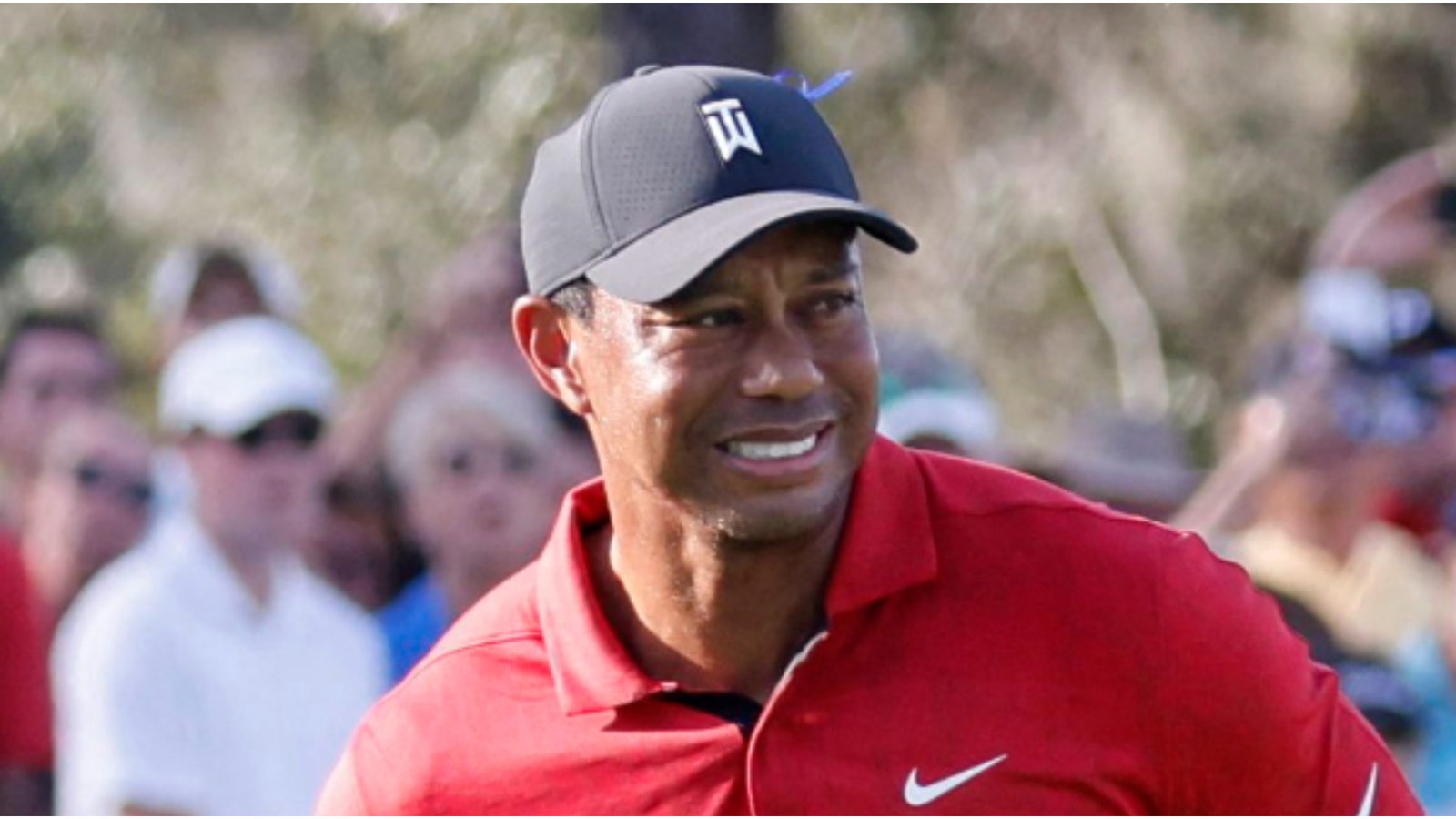 Throwback: The time Tiger Woods almost broke David Feherty's elbow