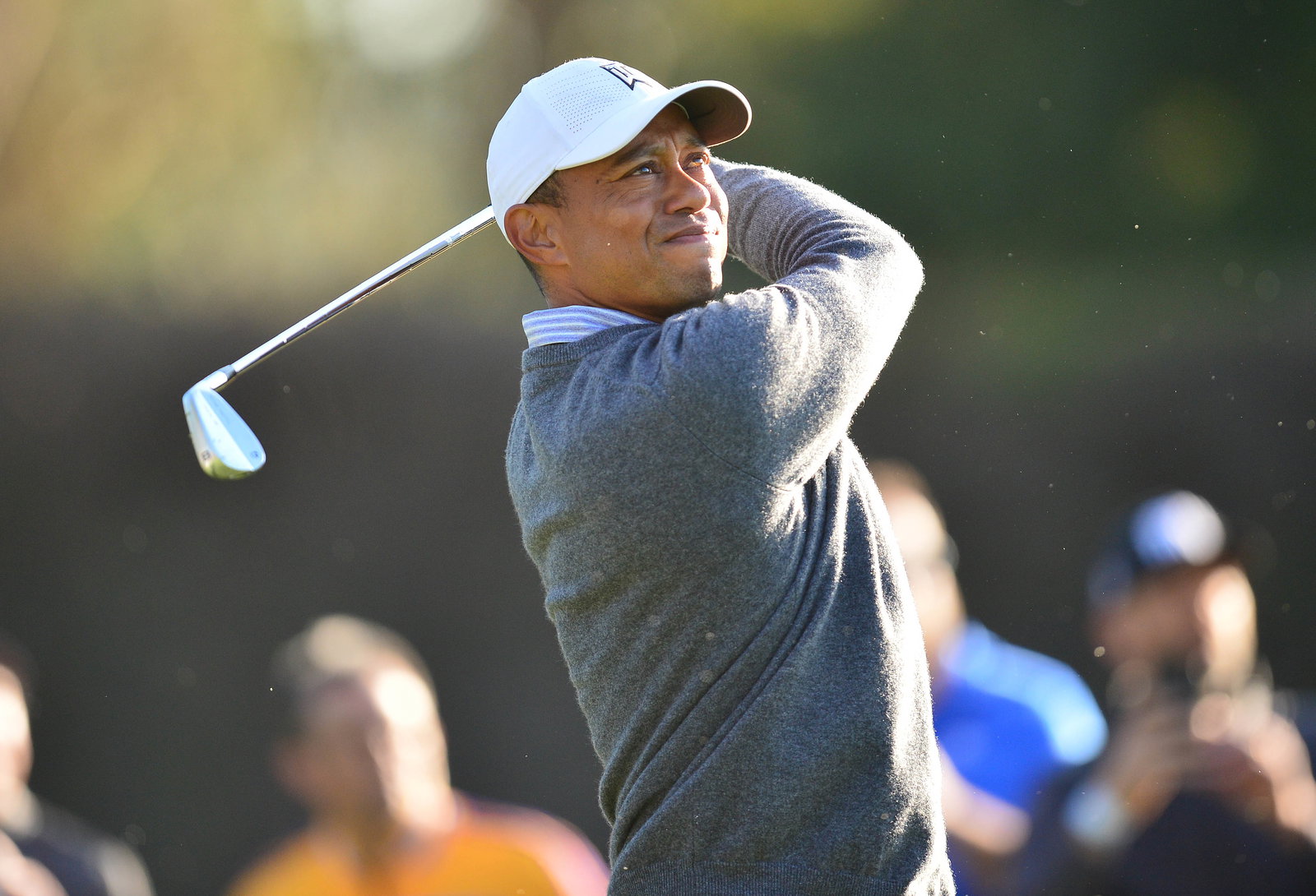 The irons as played by the world's top 20 golfers