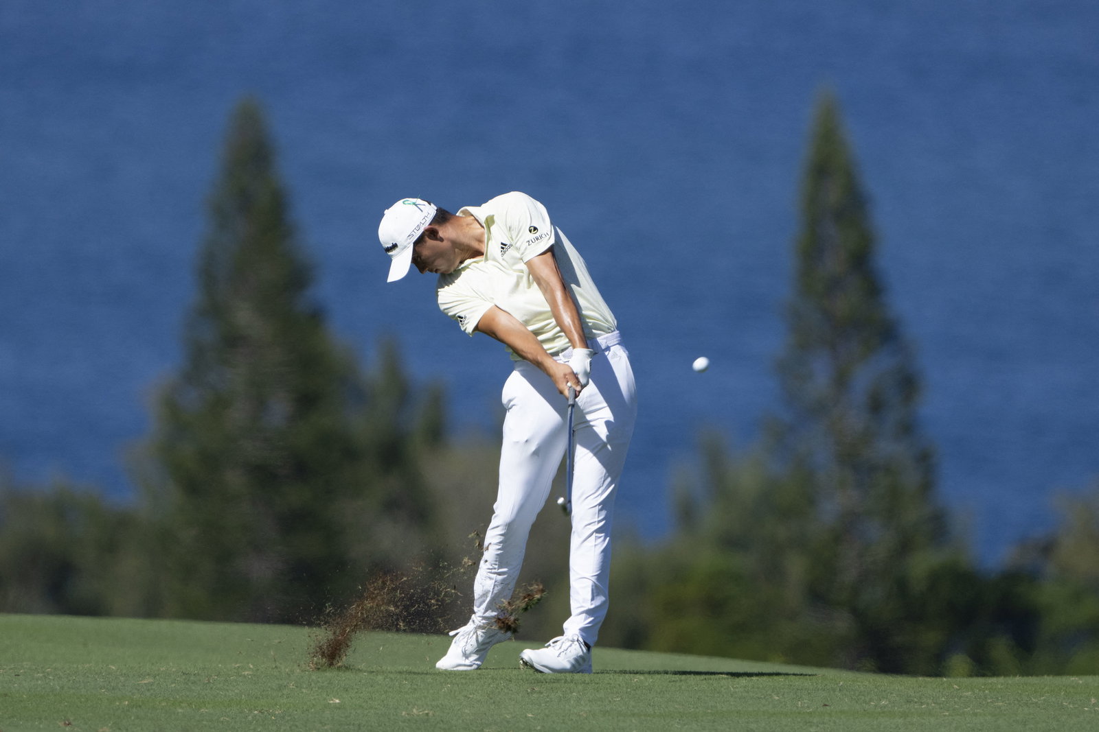 Collin Morikawa reveals he was so nervous about proposing he CRASHED a golf cart