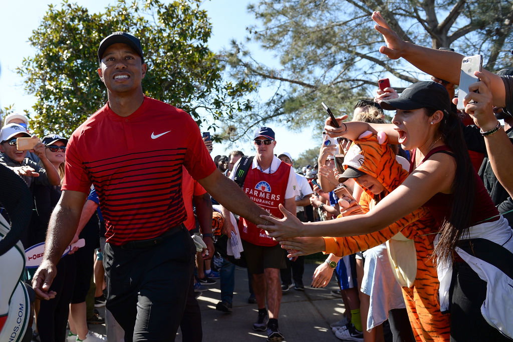 Tiger Woods: 'I showed heart and fought my tail off'