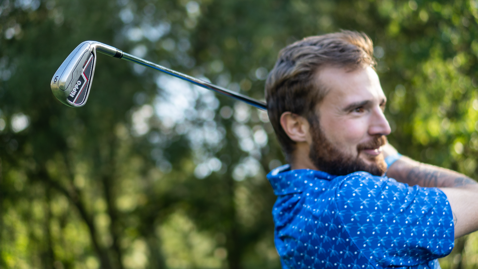 HiPPO H120 Irons
