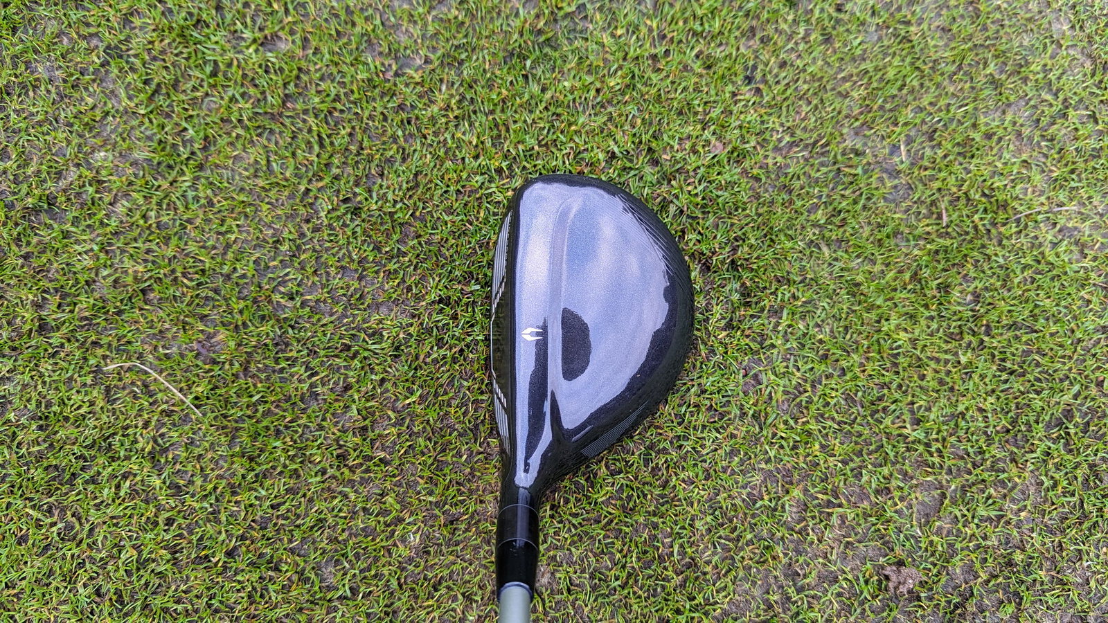 Cleveland Halo XL Hy-Wood
