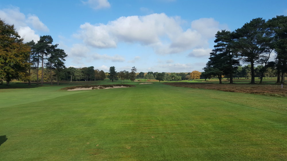 Walton Heath: New Course review