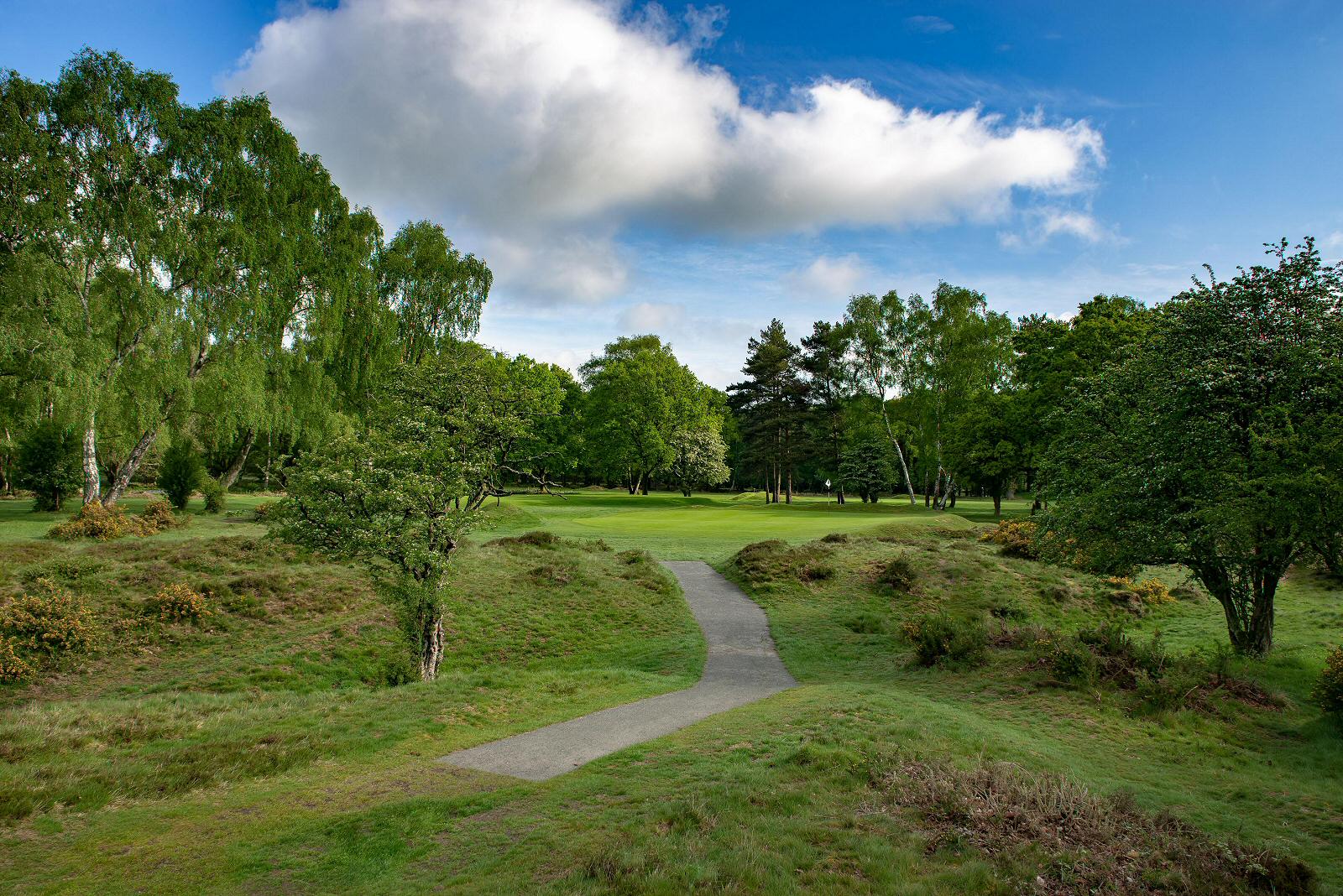 Berkhamsted Golf Club gets upgrade