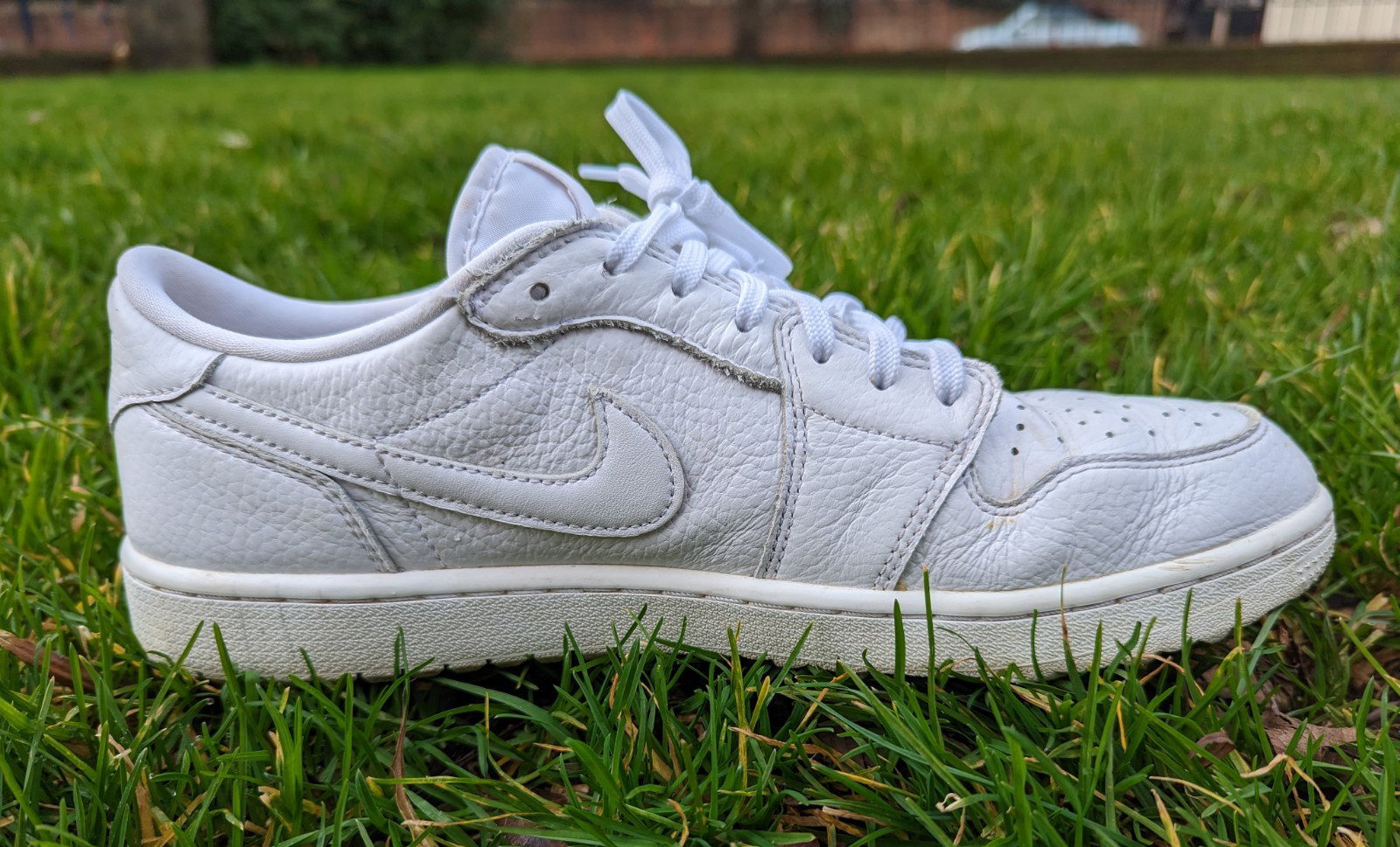 Nike Air Jordan 1 Low G Golf Shoes Review: 