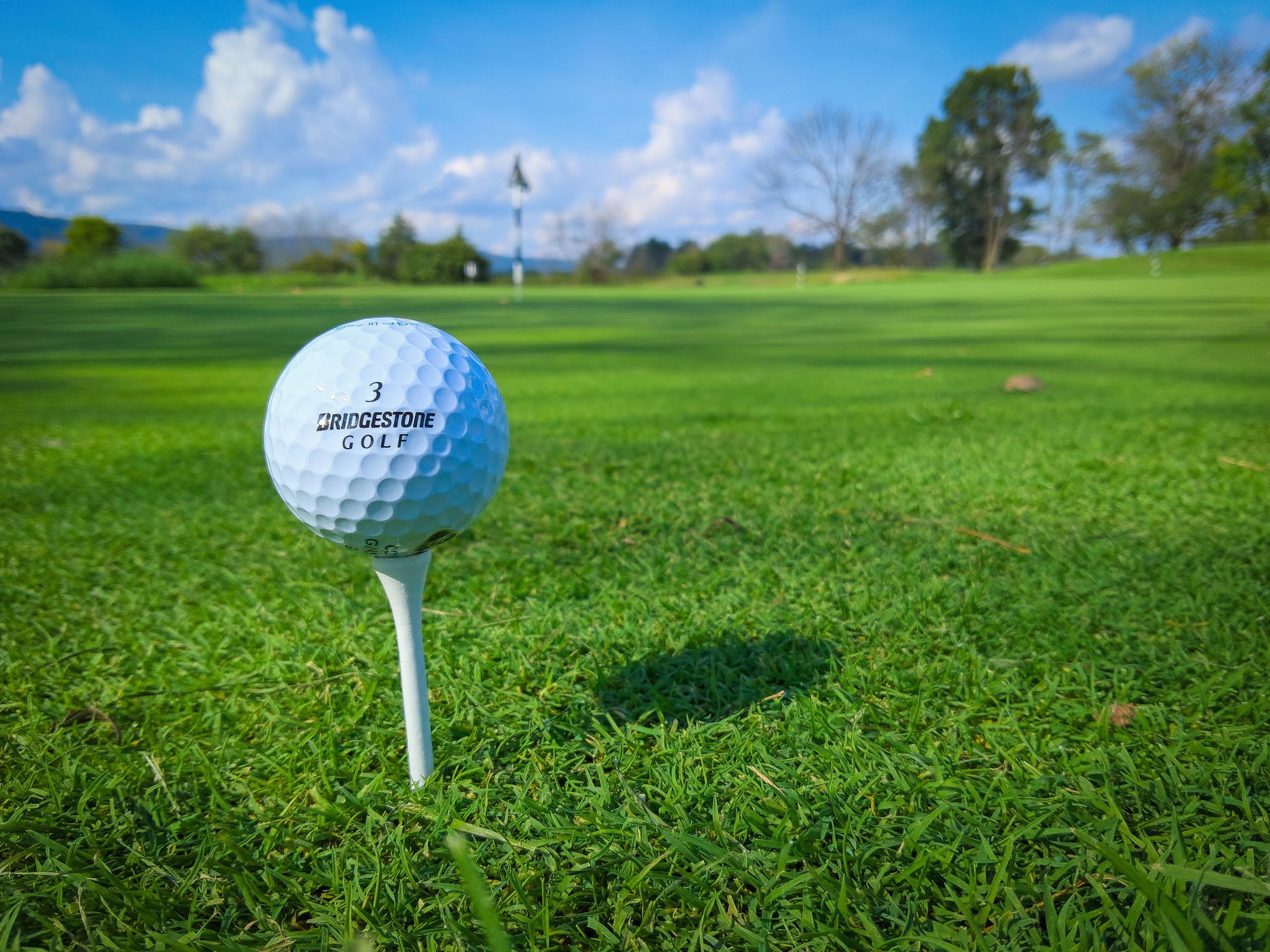Tee In Golf Tees: the correct rules behind using them on the course | Golfmagic