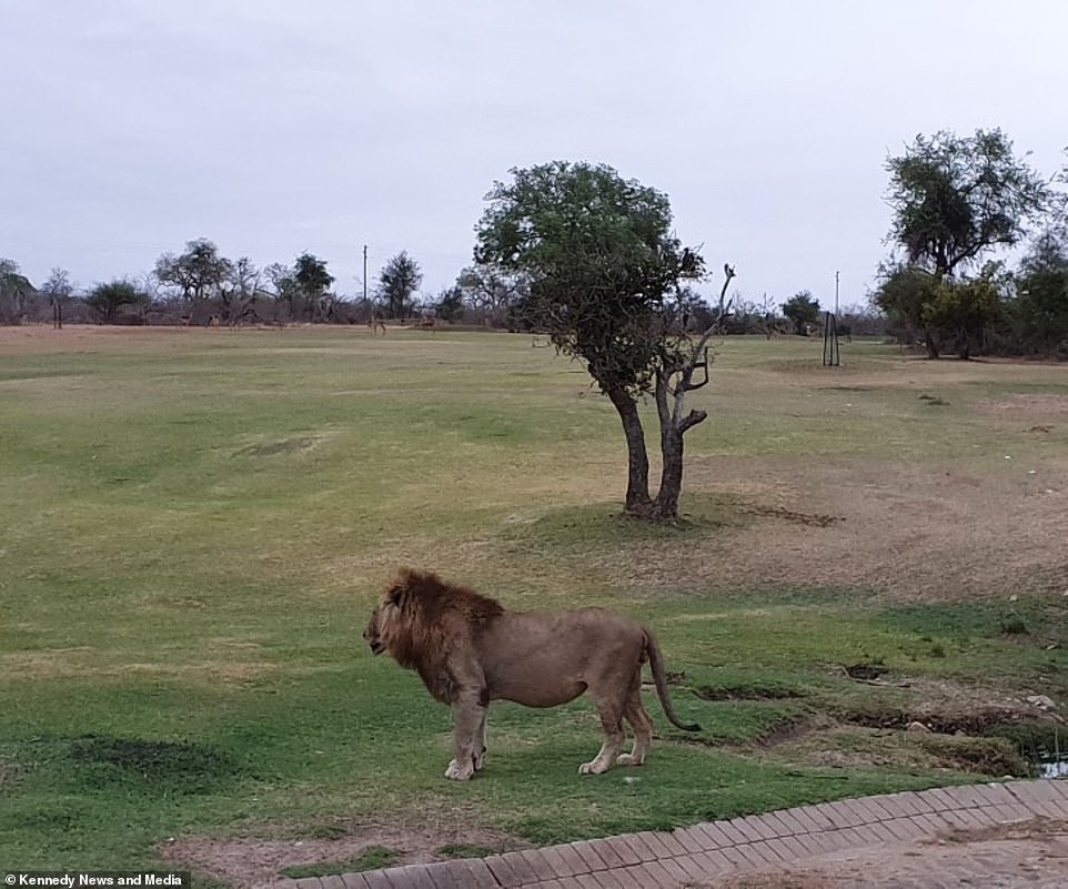 The WILDEST golf course in the world
